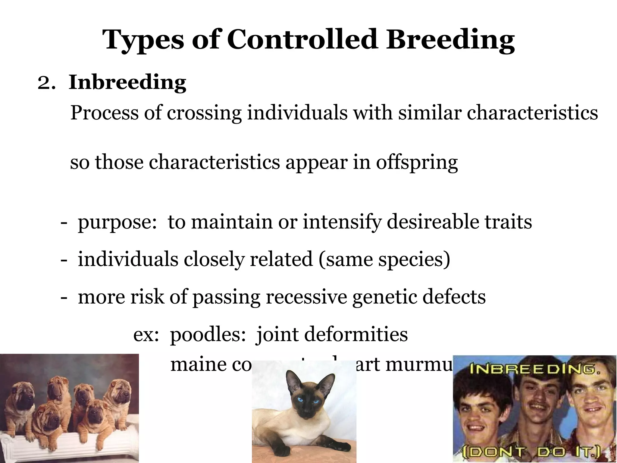 13 genetic engineering bw | PPT | Genetics | Science