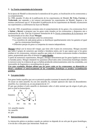 4
3. La Teoría cromosómica de la herencia
En la época de Mendel se desconocían la naturaleza de los genes, su localización en los cromosomas y
su comportamiento.
En 1900, pasadas 34 años de la publicación de los experimentos de Mendel, De Vries, Correns y
Tschermak, por separado y sin conocer previamente los experimentos de Mendel, llegaron a las
mismas conclusiones que él. Al descubrir la publicación de los experimentos de Mendel, reconocieron
sus experimentos y confirmaron las leyes de Mendel.
En el año 1902, el paralelismo existente entre el comportamiento de los genes y los cromosomas llevó
a Sutton y Bovery a proponer que los genes están situados en los cromosomas y dispuestos uno a
continuación de otro. Esta fue la primera formulación de la Teoría cromosómica de la herencia, que
fue demostrada en los años 20 por Morgan:
 Los genes vienen en parejas como los cromosomas
 Los miembros de cada pareja génica se distribuyen igualitariamente entre los gametos al igual
que los cromosomas homólogos.
 Diferentes parejas de genes se comportan de manera independiente.
Morgan trabajó con la mosca del vinagre, que tiene sólo 4 pares de cromosomas. Morgan encontró
que había 4 grupos de caracteres que tendían a heredarse juntos, por lo que supuso que si los genes
estaban en los cromosomas, entonces aquellos que están en el mismo cromosoma tienden a heredarse
juntos, proponiendo para ellos el término de genes ligados.
A partir de numerosos experimentos, Morgan y Bridges demostraron que los genes ligados no siempre
se heredan juntos. Morgan interpretó los quiasmas (observados entre cromosomas homólogos durante
la meiosis) como la evidencia de que se habían producido entrecruzamientos entre las cromátidas, con
intercambio de fragmentos y recombinación de genes.
Con estos resultados Morgan afirmó que los genes están en los cromosomas, su disposición es
lineal y mediante el entrecruzamiento de las cromátidas homólogas se produce recombinación
genética.
4. Los genes letales
Son genes letales aquellos que con su presencia pueden ocasionar la muerte del embrión.
Al cruzar un ratón amarillo Aa con otro amarillo Aa, siempre aparecen dos tipos de descendientes:
amarillos Aa y normales aa, en una proporción de 2:3
El gen que produce el pelo amarillo es dominante sobre el alelo normal que da origen al pelo gris,
pero es letal en homocigosis.
P Aa x Aa
Gametos A a A a
F1 AA Aa Aa aa
AA: amarillo muerto
Aa: amarillo
aa: gris
5. Interacciones génicas
La interacción génica se produce cuando un carácter no depende de un solo par de genes homólogos,
si no de dos o más pares que interactúan. Puede ser:
 