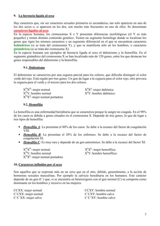 7
9. La herencia ligada al sexo
Hay caracteres que, sin ser caracteres sexuales primarios ni secundarios, tan solo aparecen en uno de
los dos sexos o, si aparecen en los dos, son mucho más frecuentes en uno de ellos. Se denominan
caracteres ligados al sexo.
En la especie humana, los cromosomas X e Y presentan diferencias morfológicas (el Y es más
pequeño) y tienen distinto contenido genético. Tienen un segmento homólogo donde se localizan los
genes que rigen los mismos caracteres y un segmento diferencial en el que se encuentran caracteres
holándricos (si se trata del cromosoma Y), y que se manifiesta sólo en los hombres, o caracteres
ginándricos (si se trata del cromosoma X).
En la especie humana son ejemplos de herencia ligada al sexo el daltonismo y la hemofilia. En el
segmento ginándrico del cromosoma X se han localizado más de 120 genes, entre los que destacan los
genes responsables del daltonismo y la hemofilia.
9.1. Daltonismo
El daltonismo se caracteriza por una ceguera parcial para los colores, que dificulta distinguir el color
verde del rojo. Está regido por tres genes: Un gen da lugar a la ceguera para el color rojo, otro provoca
la ceguera para el verde y el tercero para los dos colores.
XD
XD
: mujer normal
XD
Y: hombre normal
XD
Xd
: mujer normal portadora
Xd
Xd
: mujer daltónica
Xd
Y: hombre daltónico
9.2. Hemofilia
La hemofilia es una enfermedad hereditaria que se caracteriza porque la sangre no coagula. En el 98%
de los casos es debida a genes situados en el cromosoma X. Depende de tres genes, lo que da lugar a
tres tipos de hemofilia:
• Hemofilia A: La presentan el 80% de los casos. Se debe a la escasez del factor de coagulación
VIII.
• Hemofilia B: La presentan el 20% de los enfermos. Se debe a la escasez del factor de
coagulación IX.
• Hemofilia C: Es muy rara y depende de un gen autosómico. Se debe a la escasez del factor XI.
XH
XH
: mujer normal
XH
Y: hombre normal
XH
Xh
: mujer normal portadora
Xh
Xh
: mujer hemofílica
Xh
Y: hombre hemofílico
10. Caracteres influidos por el sexo
Son aquellos que se expresan más en un sexo que en el otro, debido, generalmente, a la acción de
hormonas sexuales masculinas. Por ejemplo la calvicie hereditaria en los humanos. Este carácter
depende de un gen (C`) que, si se encuentra en heterocigosis con el gen normal (C) se comporta como
dominante en los hombres y recesivo en las mujeres.
CCXX: mujer normal
C`CXX: mujer normal
C`C`XX: mujer calva
CCXY: hombre normal
C`CXY: hombre calvo
C`C`XY: hombre calvo
 