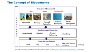 Global Value Chain in the Agrifood Sector | PPTX
