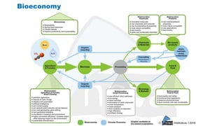 Global Value Chain in the Agrifood Sector | PPTX