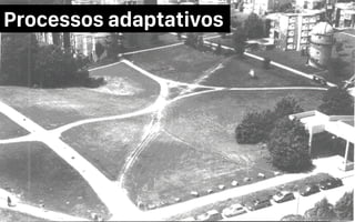 Processos adaptativos
mauriciobitencourt.com
 