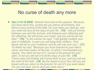 No curse of death any more Gen 3:14-19 WEB   Yahweh God said to the serpent, "Because you have done this, cursed are you above all livestock, and above every animal of the field. On your belly you shall go, and you shall eat dust all the days of your life.  (15)   I will put enmity between you and the woman, and between your offspring and her offspring. He will bruise your head, and you will bruise his heel."  (16)   To the woman he said, "I will greatly multiply your pain in childbirth. In pain you will bring forth children. Your desire will be for your husband, and he will rule over you."  (17)   To Adam he said, "Because you have listened to your wife's voice, and have eaten of the tree, of which I commanded you, saying, 'You shall not eat of it,' cursed is the ground for your sake. In toil you will eat of it all the days of your life.  (18)   Thorns also and thistles will it bring forth to you; and you will eat the herb of the field.  (19)   By the sweat of your face will you eat bread until you return to the ground, for out of it you were taken. For you are dust, and to dust you shall return." 