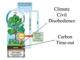 Biochar: “invented” 600 million years ago by Mother Nature 
 
