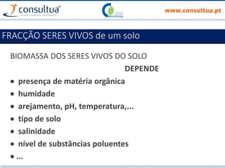 BIOMASSA DOS SERES VIVOS DO SOLO
DEPENDE
 presença de matéria orgânica
 humidade
 arejamento, pH, temperatura,...
 tipo de solo
 salinidade
 nível de substâncias poluentes
 ...
FRACÇÃO SERES VIVOS de um solo
 