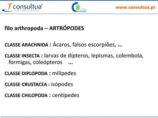 filo arthropoda – ARTRÓPODES
CLASSE ARACHNIDA : Ácaros, falsos escorpiões, ...
CLASSE INSECTA : larvas de dípteros, lepismas, colembola,
formigas, coleópteros ...
CLASSE DIPLOPODA : milípedes
CLASSE CRUSTACEA : isópodes
CLASSE CHILOPODA : centípedes
 