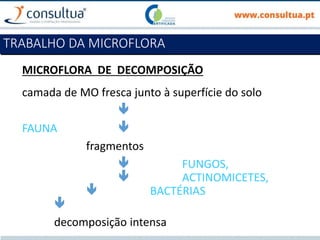 MICROFLORA DE DECOMPOSIÇÃO
camada de MO fresca junto à superfície do solo

FAUNA 
fragmentos
 FUNGOS,
 ACTINOMICETES,
 BACTÉRIAS

decomposição intensa
TRABALHO DA MICROFLORA
 