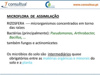 MICROFLORA DE ASSIMILAÇÃO
RIZOSFERA  microrganismos concentrados em torno
das raízes
Bactérias (principalmente): Pseudomonas, Arthrobacter,
Bacillus, …
também fungos e actinomicetes
Os micróbios do solo são intermediários quase
obrigatórios entre as matérias orgânicas e minerais do
solo e a planta
 