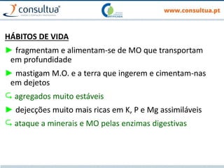 HÁBITOS DE VIDA
► fragmentam e alimentam-se de MO que transportam
em profundidade
► mastigam M.O. e a terra que ingerem e cimentam-nas
em dejetos
 agregados muito estáveis
► dejecções muito mais ricas em K, P e Mg assimiláveis
 ataque a minerais e MO pelas enzimas digestivas
 