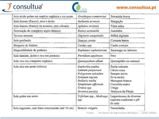Fonte: “ As bases da Agricultura Biológica ”, 2009, Edibio
 