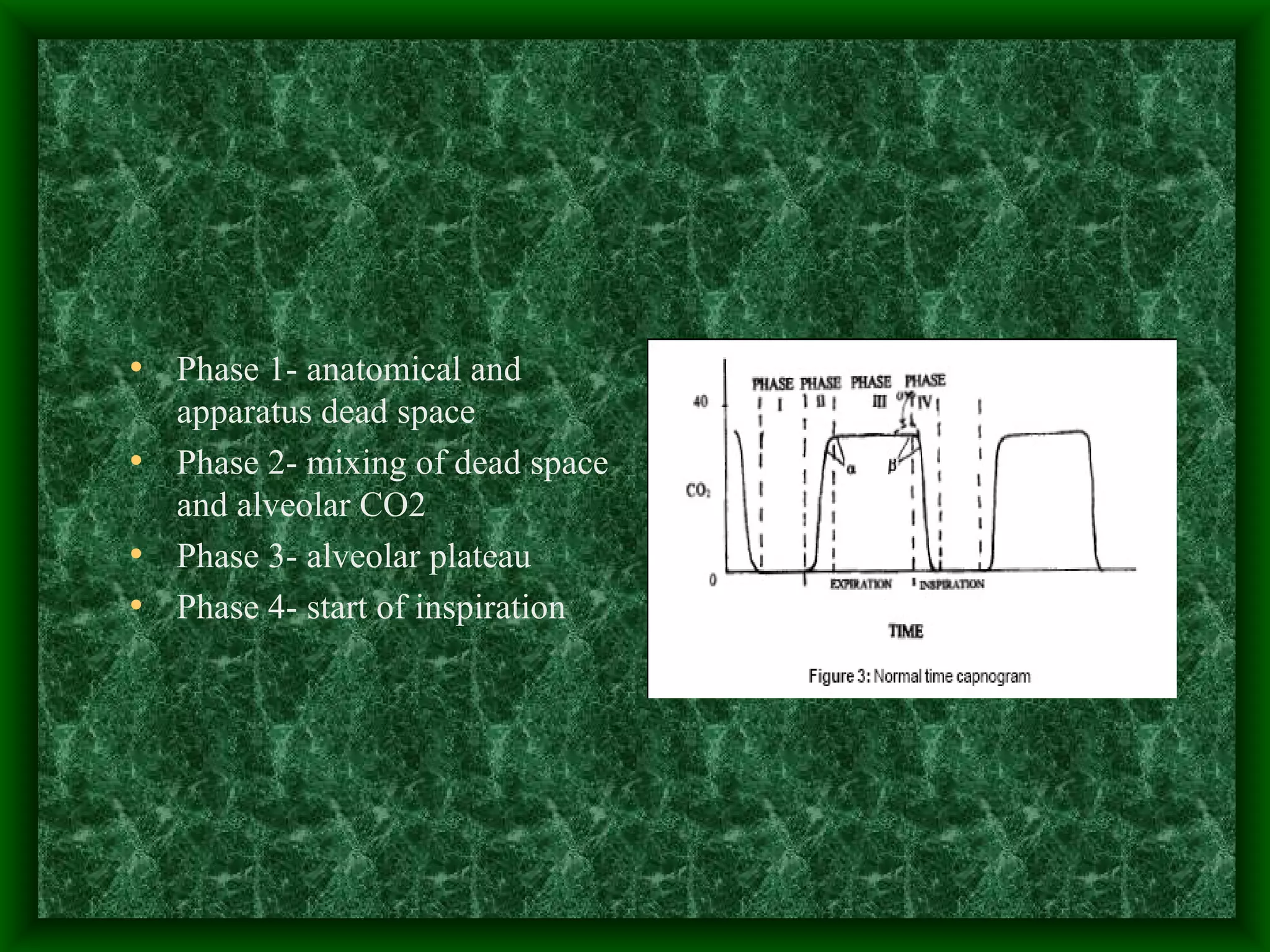 Phase 1- anatomical and apparatus dead space Phase 2- mixing of dead space and alveolar CO2 Phase 3- alveolar plateau Phase 4- start of inspiration