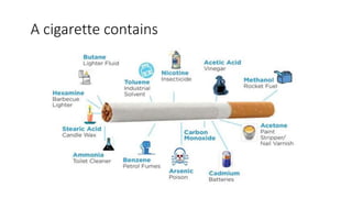A cigarette contains
 