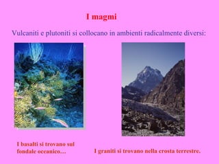 I magmi
Vulcaniti e plutoniti si collocano in ambienti radicalmente diversi:




 I basalti si trovano sul
 fondale oceanico…           I graniti si trovano nella crosta terrestre.
 