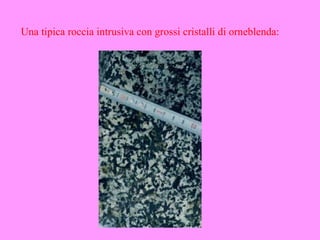 Una tipica roccia intrusiva con grossi cristalli di orneblenda:
 