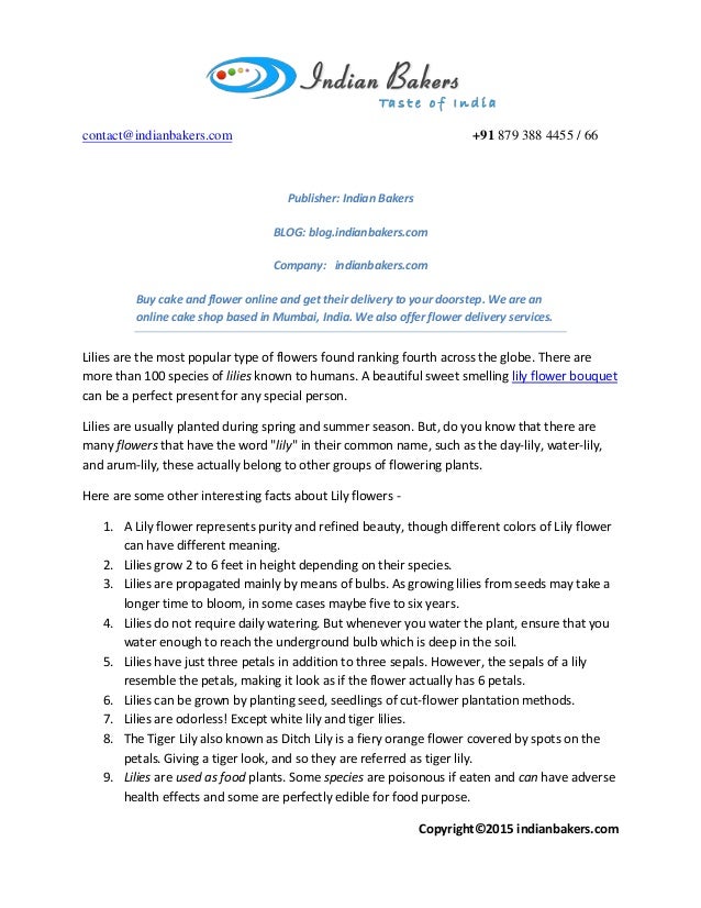 13 Interesting Facts about Lilly Flowers