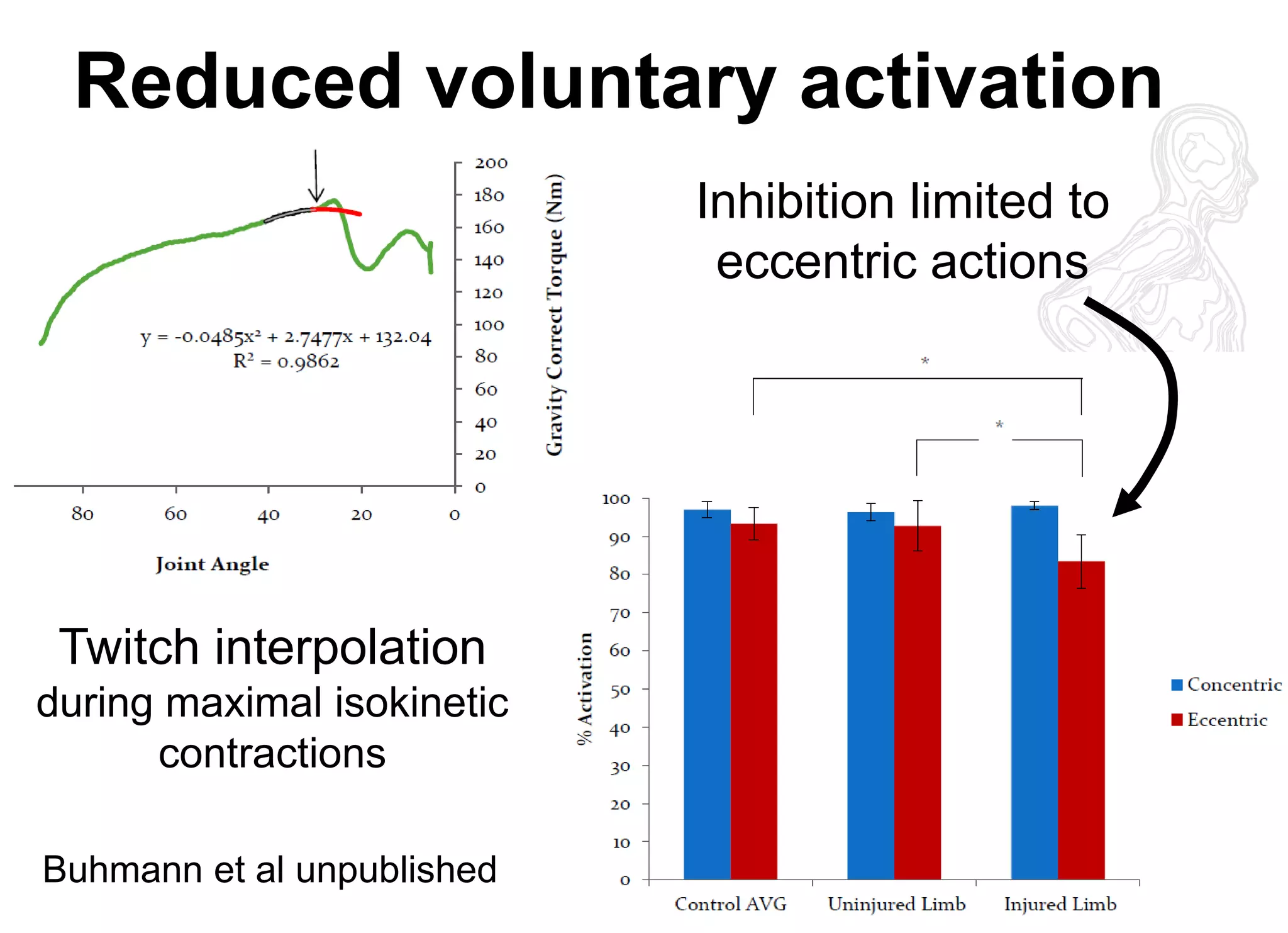 Reduced voluntary activation 
Inhibition limited to eccentric actions 
Twitch interpolation during maximal isokinetic contractions 
Buhmann et al unpublished  