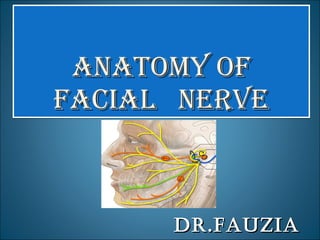 ANATOMY OF  FACIAL  NERVE DR.FAUZIA 