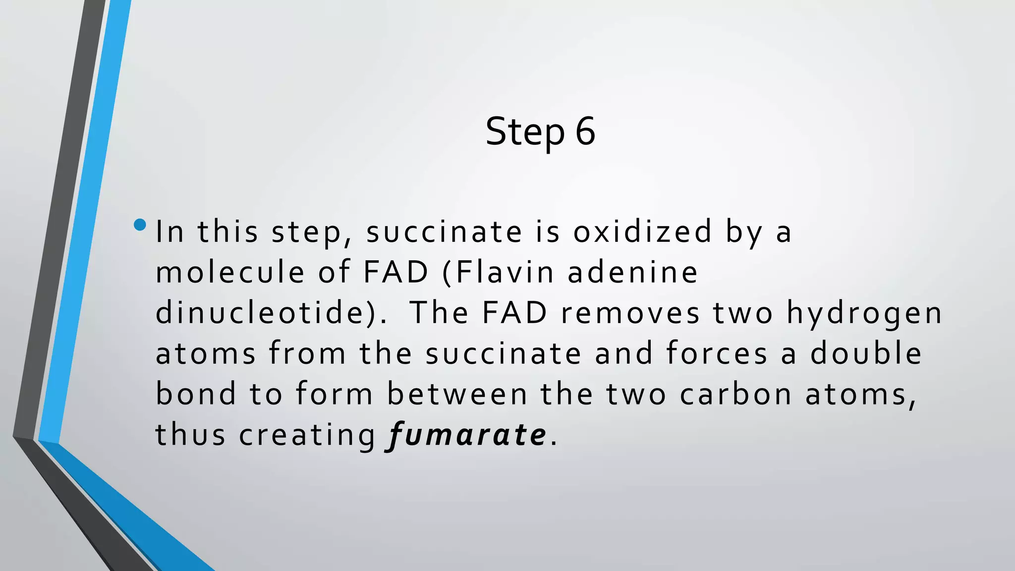 Step 6
•In this step, succinate is oxidized by a
molecule of FAD (Flavin adenine
dinucleotide). The FAD removes two hydrogen
atoms from the succinate and forces a double
bond to form between the two carbon atoms,
thus creating fumarate.
 
