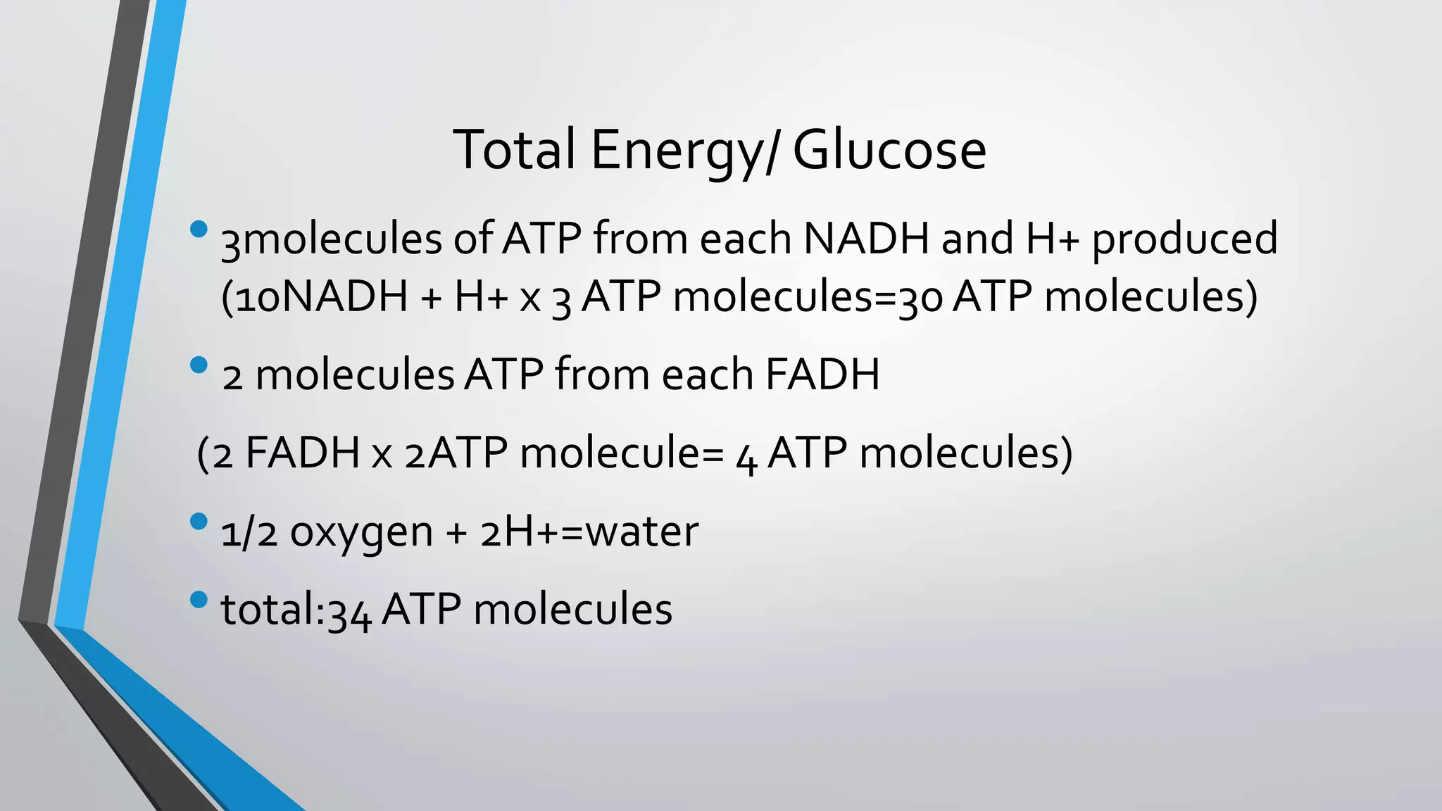 Total Energy/ Glucose
•3molecules of ATP from each NADH and H+ produced
(10NADH + H+ x 3 ATP molecules=30ATP molecules)
•2 moleculesATP from each FADH
(2 FADH x 2ATP molecule= 4 ATP molecules)
•1/2 oxygen + 2H+=water
•total:34ATP molecules
 