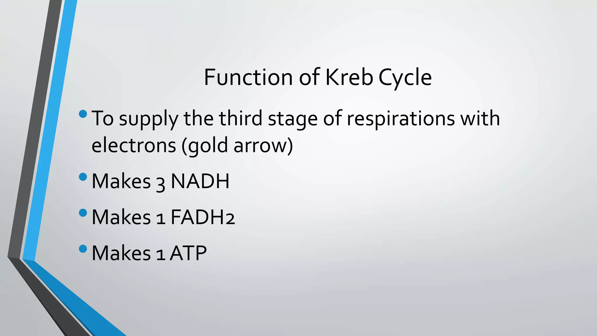 Function of Kreb Cycle
•To supply the third stage of respirations with
electrons (gold arrow)
•Makes 3 NADH
•Makes 1 FADH2
•Makes 1 ATP
 