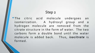 Step 2
•The citric acid molecule undergoes an
isomerization. A hydroxyl group and a
hydrogen molecule are removed from the
citrate structure in the form of water. The two
carbons form a double bond until the water
molecule is added back. Thus, isocitrate is
formed.
 