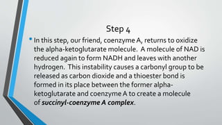 Step 4
•In this step, our friend, coenzymeA, returns to oxidize
the alpha-ketoglutarate molecule. A molecule of NAD is
reduced again to form NADH and leaves with another
hydrogen. This instability causes a carbonyl group to be
released as carbon dioxide and a thioester bond is
formed in its place between the former alpha-
ketoglutarate and coenzymeA to create a molecule
of succinyl-coenzyme A complex.
 