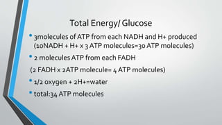 Total Energy/ Glucose
•3molecules of ATP from each NADH and H+ produced
(10NADH + H+ x 3 ATP molecules=30ATP molecules)
•2 moleculesATP from each FADH
(2 FADH x 2ATP molecule= 4 ATP molecules)
•1/2 oxygen + 2H+=water
•total:34ATP molecules
 