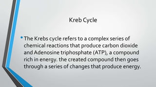 Kreb Cycle
•The Krebs cycle refers to a complex series of
chemical reactions that produce carbon dioxide
and Adenosine triphosphate (ATP), a compound
rich in energy. the created compound then goes
through a series of changes that produce energy.
 