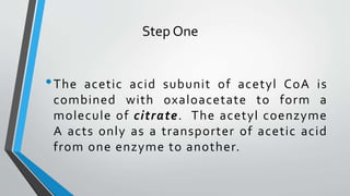 Step One
•The acetic acid subunit of acetyl CoA is
combined with oxaloacetate to form a
molecule of citrate. The acetyl coenzyme
A acts only as a transporter of acetic acid
from one enzyme to another.
 