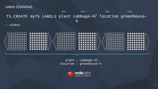 14
Oldest
Labels (Optional)
TS.CREATE myTS LABELS plant cabbage-47 location greenhouse-
4
plant : cabbage-47,
location : greenhouse-4
field value field value
 