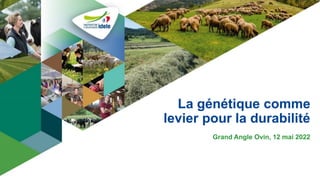 La génétique comme
levier pour la durabilité
Grand Angle Ovin, 12 mai 2022
 