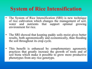 Systematic Rice Intensification 13 Latest development in crop management.ppt