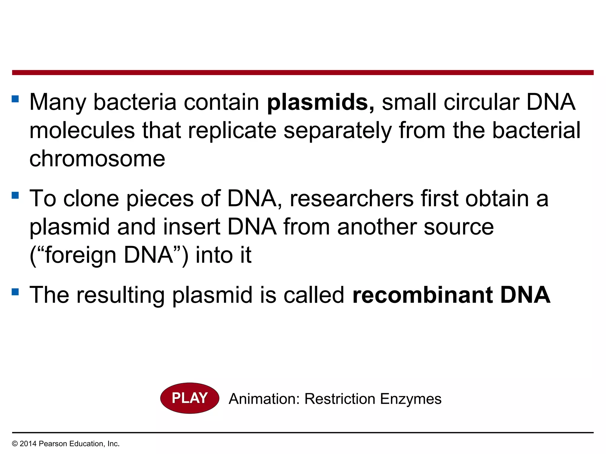 © 2014 Pearson Education, Inc.
 Many bacteria contain plasmids, small circular DNA
molecules that replicate separately from the bacterial
chromosome
 To clone pieces of DNA, researchers first obtain a
plasmid and insert DNA from another source
(“foreign DNA”) into it
 The resulting plasmid is called recombinant DNA
Animation: Restriction Enzymes
 