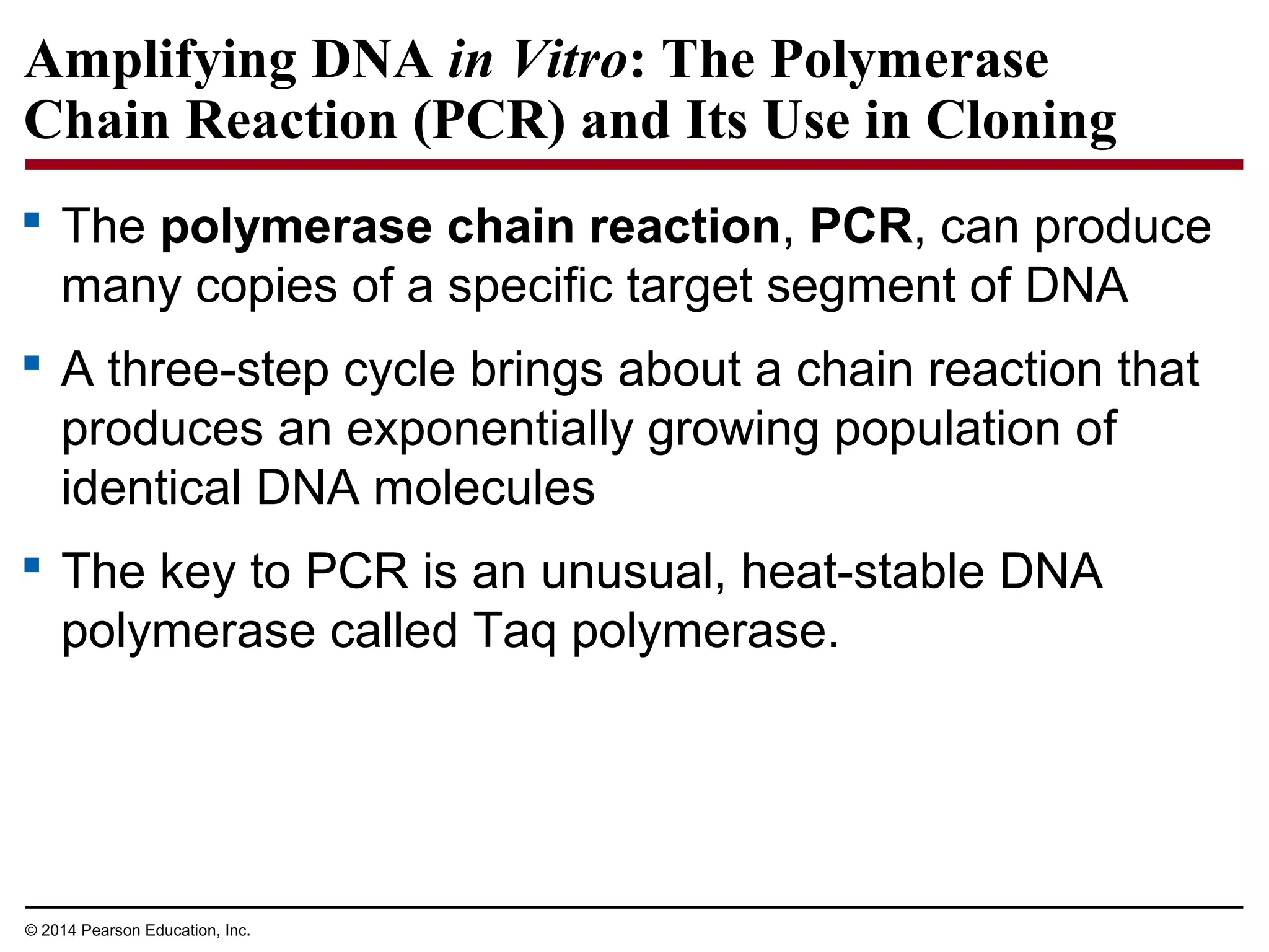 © 2014 Pearson Education, Inc.
Amplifying DNA in Vitro: The Polymerase
Chain Reaction (PCR) and Its Use in Cloning
 The polymerase chain reaction, PCR, can produce
many copies of a specific target segment of DNA
 A three-step cycle brings about a chain reaction that
produces an exponentially growing population of
identical DNA molecules
 The key to PCR is an unusual, heat-stable DNA
polymerase called Taq polymerase.
 