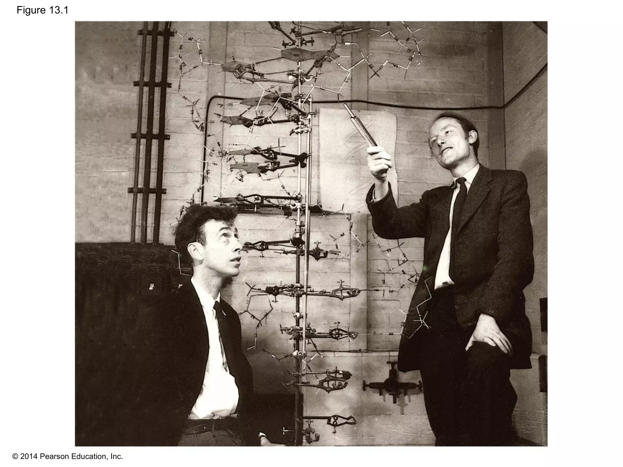 © 2014 Pearson Education, Inc.
Figure 13.1
 