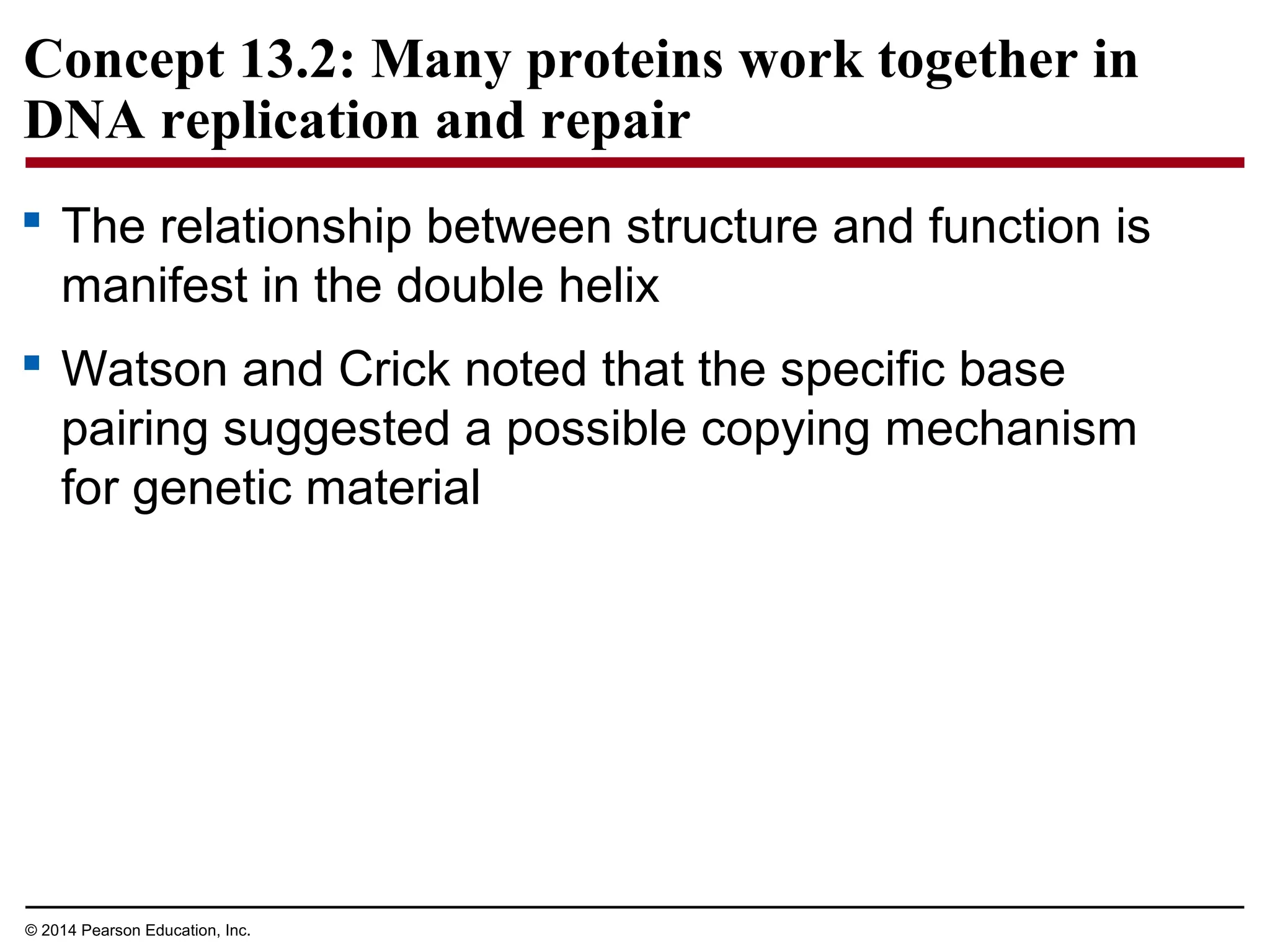 © 2014 Pearson Education, Inc.
Concept 13.2: Many proteins work together in
DNA replication and repair
 The relationship between structure and function is
manifest in the double helix
 Watson and Crick noted that the specific base
pairing suggested a possible copying mechanism
for genetic material
 