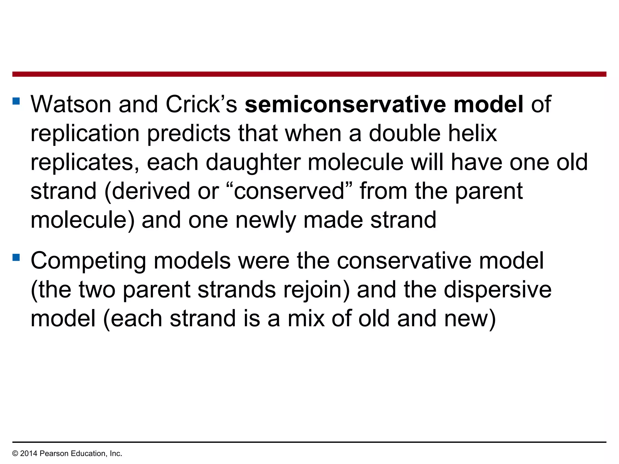 © 2014 Pearson Education, Inc.
 Watson and Crick’s semiconservative model of
replication predicts that when a double helix
replicates, each daughter molecule will have one old
strand (derived or “conserved” from the parent
molecule) and one newly made strand
 Competing models were the conservative model
(the two parent strands rejoin) and the dispersive
model (each strand is a mix of old and new)
 
