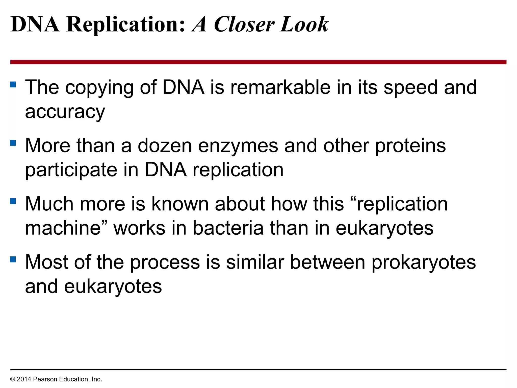 © 2014 Pearson Education, Inc.
DNA Replication: A Closer Look
 The copying of DNA is remarkable in its speed and
accuracy
 More than a dozen enzymes and other proteins
participate in DNA replication
 Much more is known about how this “replication
machine” works in bacteria than in eukaryotes
 Most of the process is similar between prokaryotes
and eukaryotes
 