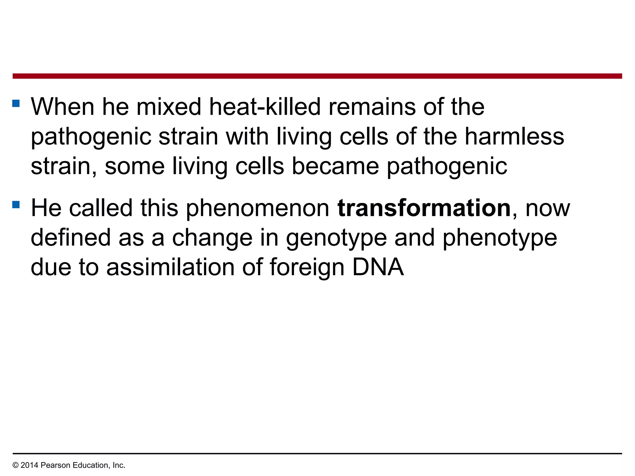 © 2014 Pearson Education, Inc.
 When he mixed heat-killed remains of the
pathogenic strain with living cells of the harmless
strain, some living cells became pathogenic
 He called this phenomenon transformation, now
defined as a change in genotype and phenotype
due to assimilation of foreign DNA
 