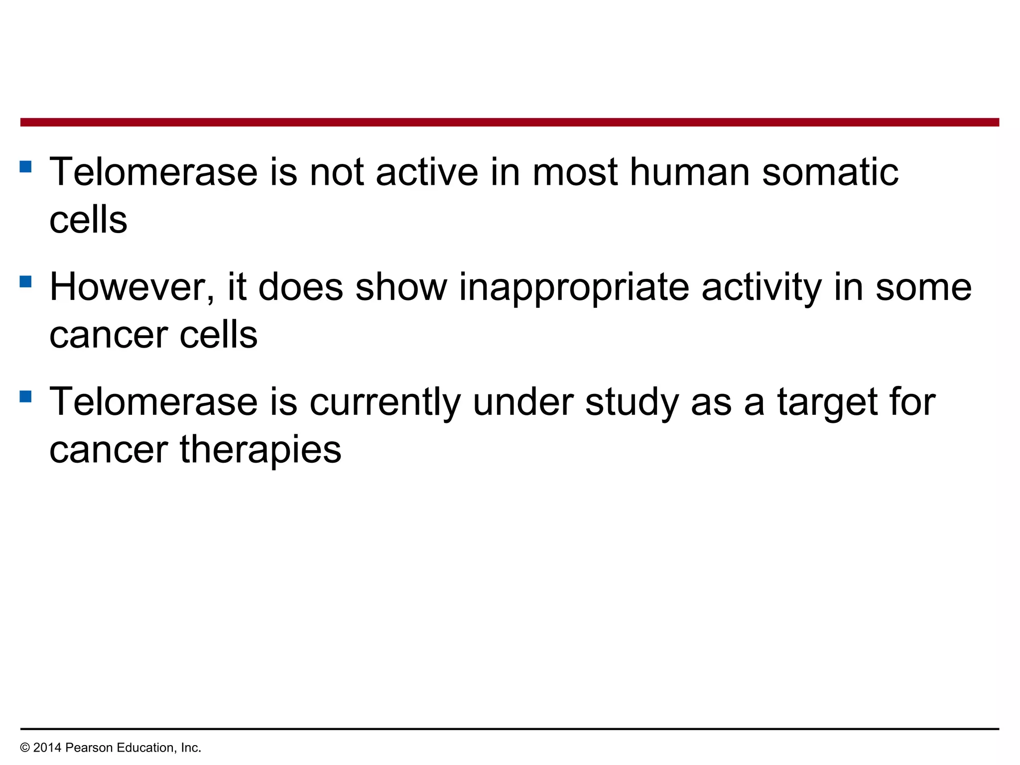 © 2014 Pearson Education, Inc.
 Telomerase is not active in most human somatic
cells
 However, it does show inappropriate activity in some
cancer cells
 Telomerase is currently under study as a target for
cancer therapies
 
