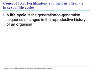 Concept 13.2: Fertilization and meiosis alternate
in sexual life cycles
• A life cycle is the generation-to-generation
sequence of stages in the reproductive history
of an organism
Copyright © 2008 Pearson Education Inc., publishing as Pearson Benjamin Cummings
 