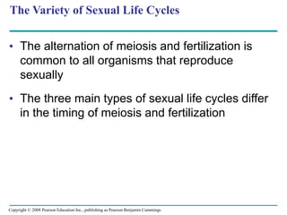 The Variety of Sexual Life Cycles
• The alternation of meiosis and fertilization is
common to all organisms that reproduce
sexually
• The three main types of sexual life cycles differ
in the timing of meiosis and fertilization
Copyright © 2008 Pearson Education Inc., publishing as Pearson Benjamin Cummings
 