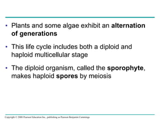 • Plants and some algae exhibit an alternation
of generations
• This life cycle includes both a diploid and
haploid multicellular stage
• The diploid organism, called the sporophyte,
makes haploid spores by meiosis
Copyright © 2008 Pearson Education Inc., publishing as Pearson Benjamin Cummings
 