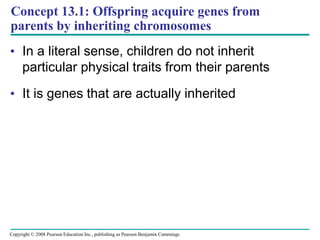 Concept 13.1: Offspring acquire genes from
parents by inheriting chromosomes
• In a literal sense, children do not inherit
particular physical traits from their parents
• It is genes that are actually inherited
Copyright © 2008 Pearson Education Inc., publishing as Pearson Benjamin Cummings
 