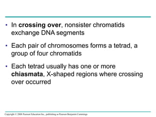 • In crossing over, nonsister chromatids
exchange DNA segments
• Each pair of chromosomes forms a tetrad, a
group of four chromatids
• Each tetrad usually has one or more
chiasmata, X-shaped regions where crossing
over occurred
Copyright © 2008 Pearson Education Inc., publishing as Pearson Benjamin Cummings
 