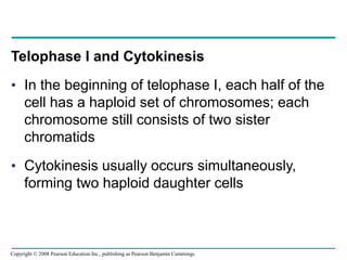 Telophase I and Cytokinesis
• In the beginning of telophase I, each half of the
cell has a haploid set of chromosomes; each
chromosome still consists of two sister
chromatids
• Cytokinesis usually occurs simultaneously,
forming two haploid daughter cells
Copyright © 2008 Pearson Education Inc., publishing as Pearson Benjamin Cummings
 