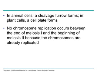 • In animal cells, a cleavage furrow forms; in
plant cells, a cell plate forms
• No chromosome replication occurs between
the end of meiosis I and the beginning of
meiosis II because the chromosomes are
already replicated
Copyright © 2008 Pearson Education Inc., publishing as Pearson Benjamin Cummings
 
