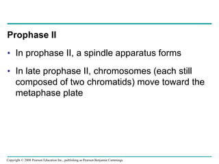 Prophase II
• In prophase II, a spindle apparatus forms
• In late prophase II, chromosomes (each still
composed of two chromatids) move toward the
metaphase plate
Copyright © 2008 Pearson Education Inc., publishing as Pearson Benjamin Cummings
 