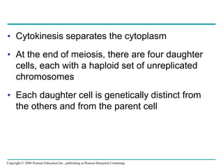 • Cytokinesis separates the cytoplasm
• At the end of meiosis, there are four daughter
cells, each with a haploid set of unreplicated
chromosomes
• Each daughter cell is genetically distinct from
the others and from the parent cell
Copyright © 2008 Pearson Education Inc., publishing as Pearson Benjamin Cummings
 