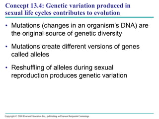 Concept 13.4: Genetic variation produced in
sexual life cycles contributes to evolution
• Mutations (changes in an organism’s DNA) are
the original source of genetic diversity
• Mutations create different versions of genes
called alleles
• Reshuffling of alleles during sexual
reproduction produces genetic variation
Copyright © 2008 Pearson Education Inc., publishing as Pearson Benjamin Cummings
 